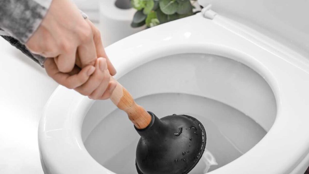 dicas infalíveis para desentupir o vaso sanitário em casa